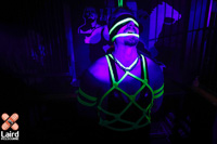 AWOL gallery_2024/awol24_hustle_gallery awol24_hustle_17.jpg