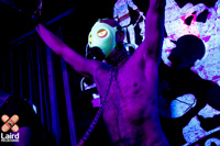 AWOL gallery_2024/awol24_jockparty_gallery awol24_jockparty_05.jpg